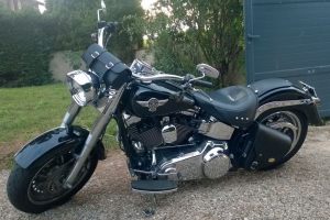 Sacoches Myleatherbikes Softail Fatboy (50)